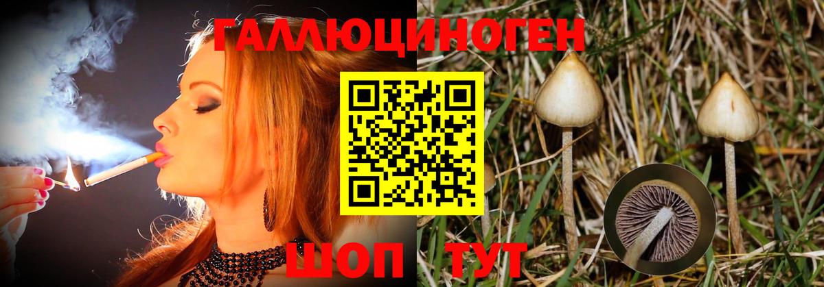 Псилоцибиновые грибы ЛСД Тосно