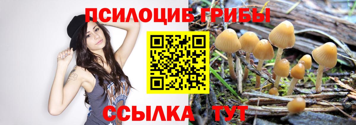 Галлюциногенные грибы ЛСД  Вход с VPN  Тосно 