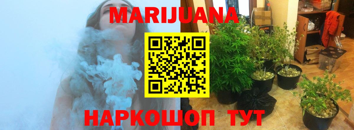 Бошки марихуана SATIVA & INDICA  Марихуана план  Канабис сатива  Тосно  Вход с VPN  Марихуана Bruce Banner 